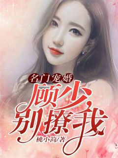 分手后，我嫁给了竹马的小舅舅完结版小说_顾琛董晴拆全文阅读
